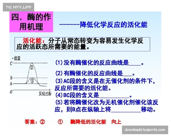 珀塞尔24分3板6助2断，山东新援快速融入体系效果显著